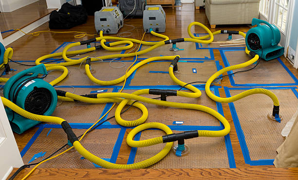 Professional Basement Flood Cleanup technician working in Grovetown, GA